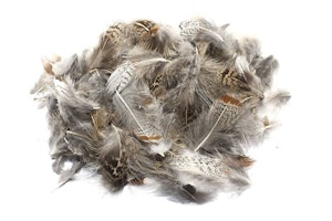 Grey Partridge Loose Feathers Pack Natural