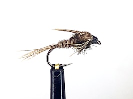 Pheasant tail