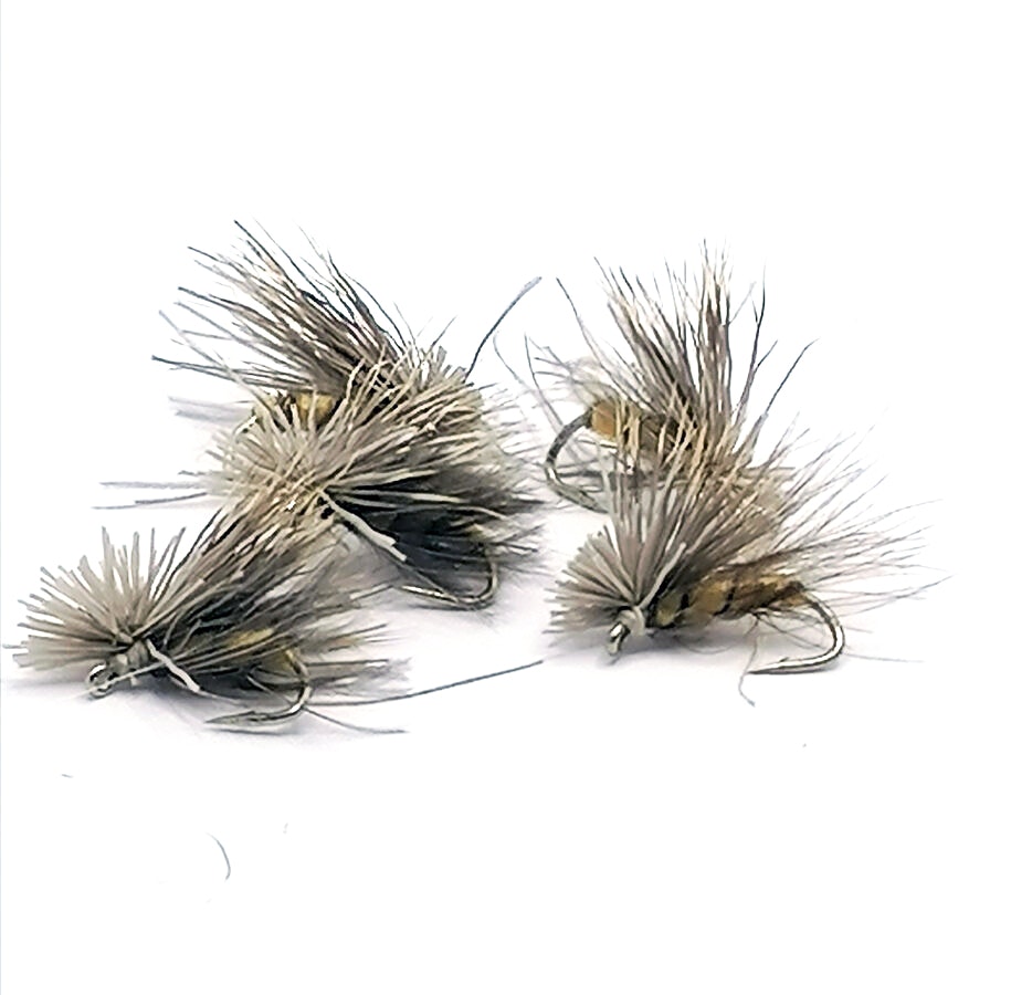 Cdc and Elk Tan #14