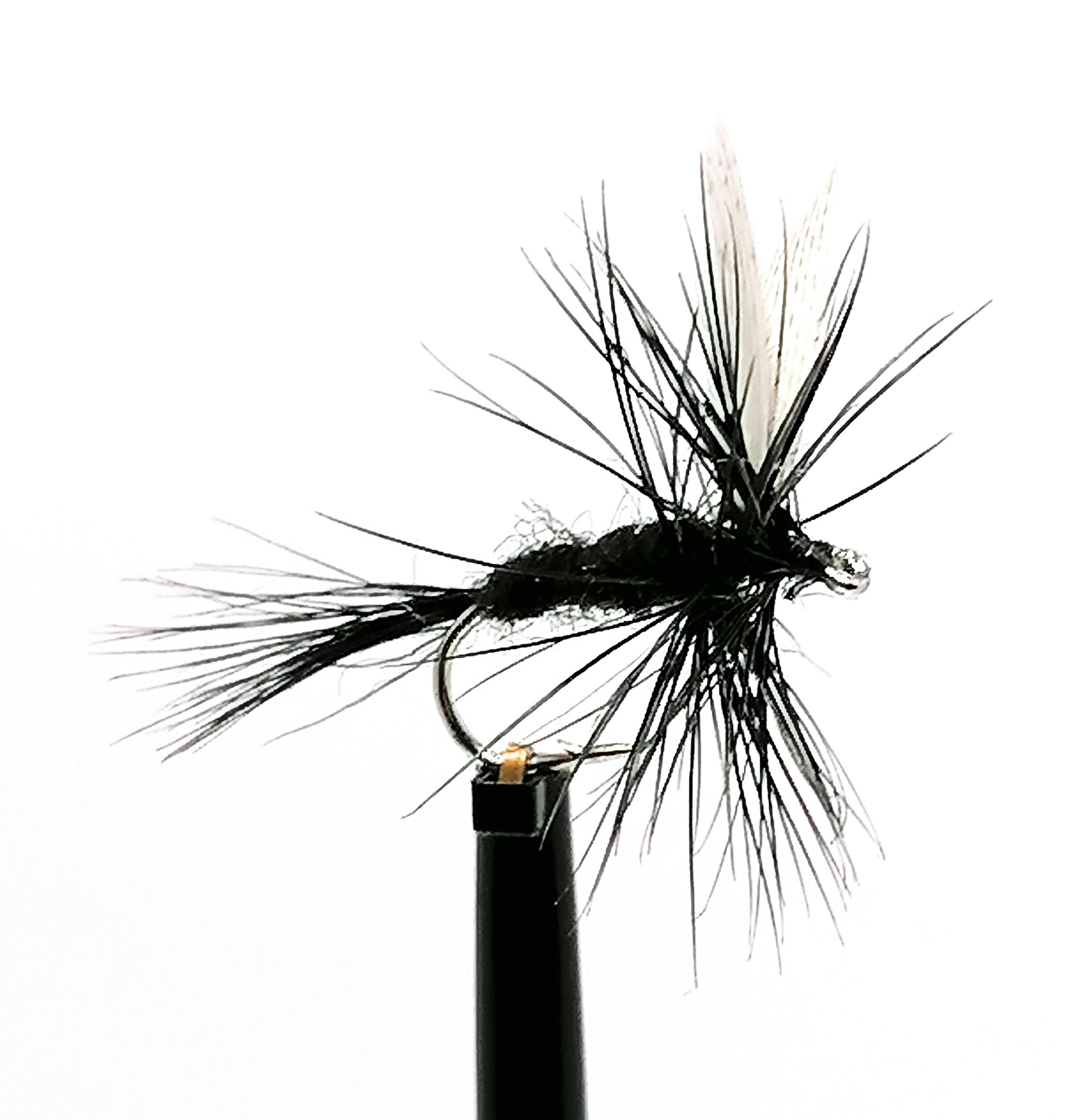 Black Gnat #14