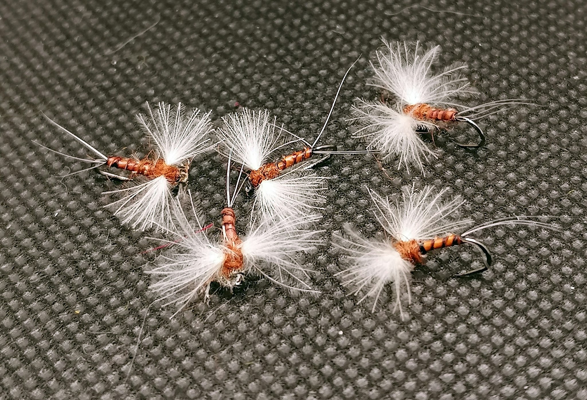 Cdc Biot Rusty Spinner #16