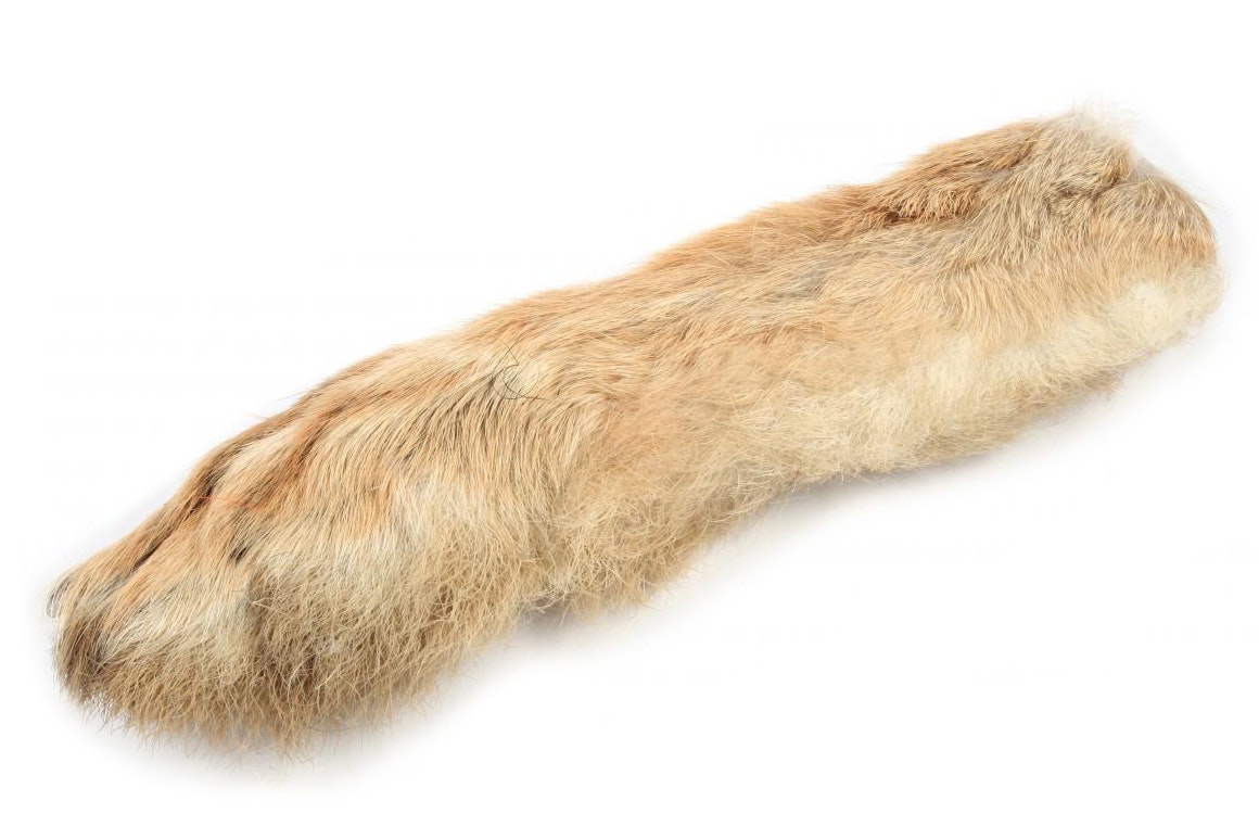 Hares Feet Wapsi