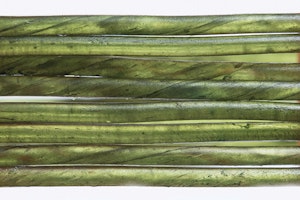 Troutline Catgut Biothread size M Green Olive