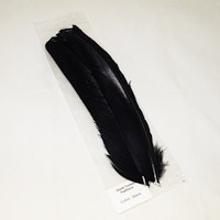 Turkey Feathers Dyed Troutline