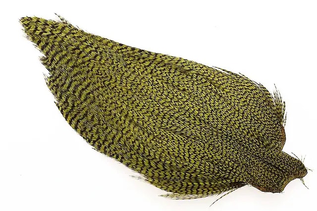 Ewing #1 Grizzly Cape Olive