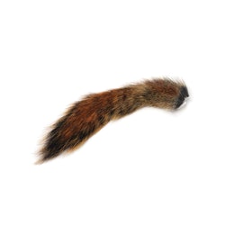 Squirrel Tail Natural Pine Wapsi