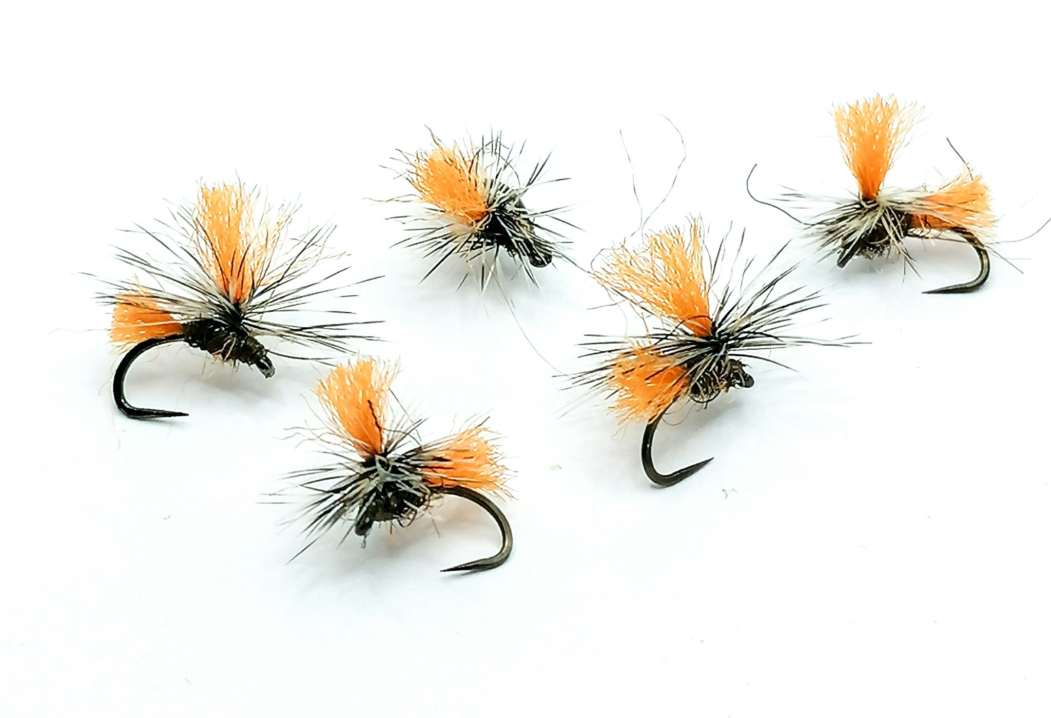 Dynamitharry Burnt Orange
