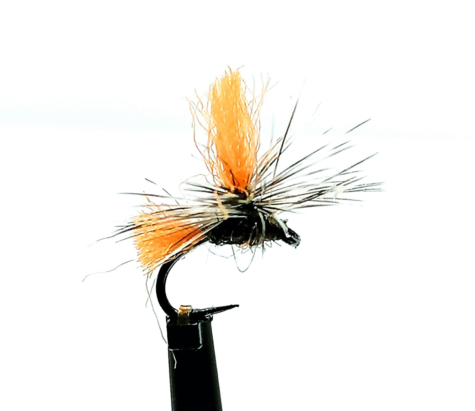Dynamitharry Burnt Orange