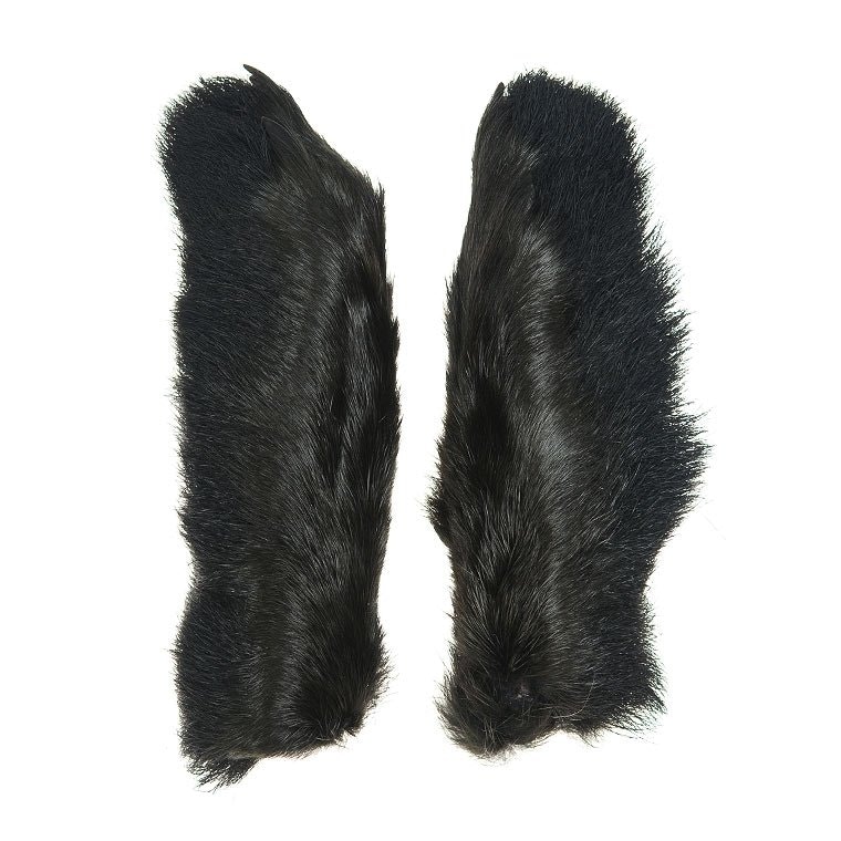 Hares Feet Wapsi