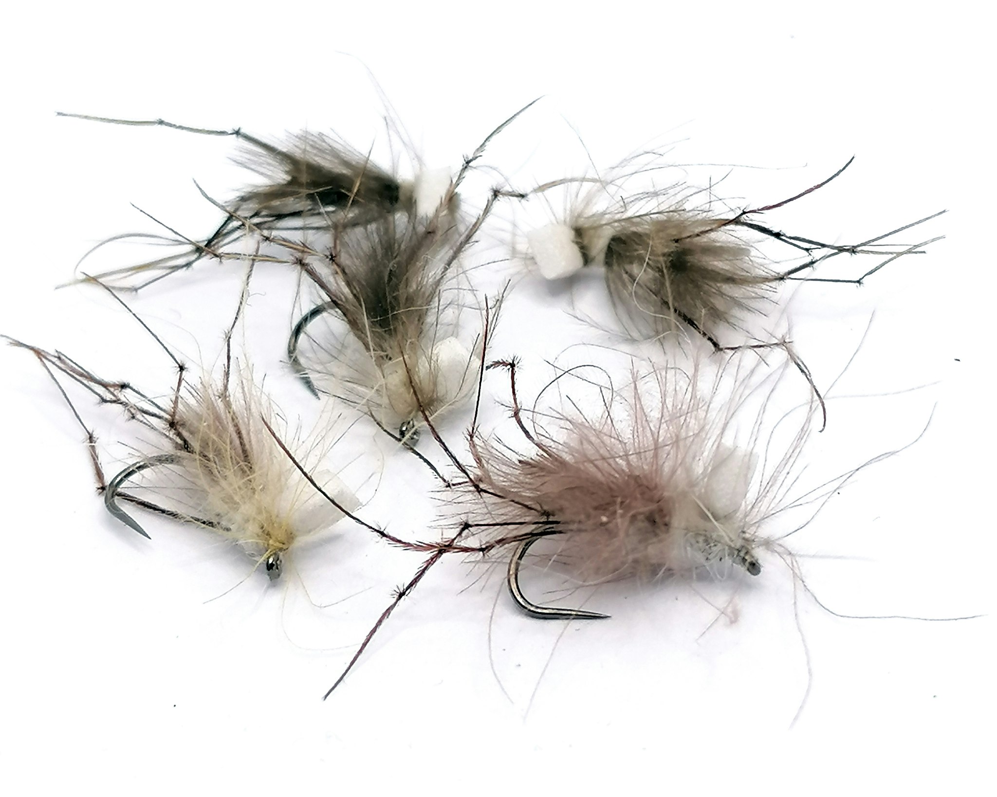 Daddy Long Legs #12