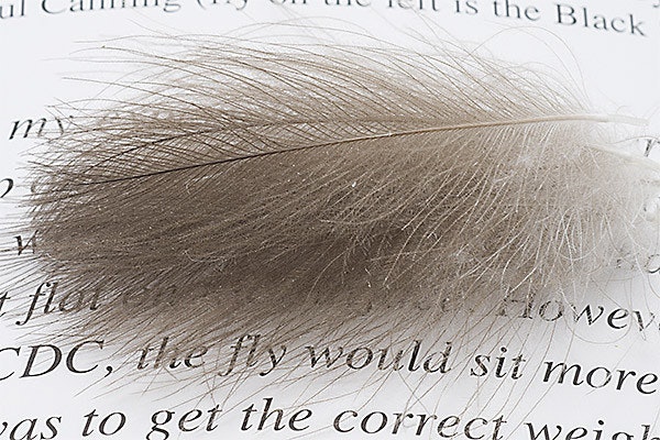 Troutline CDC Size Selected Feathers Natural Grey