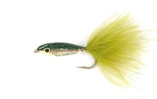 Janssens Minnow Rainbow Trout # 10