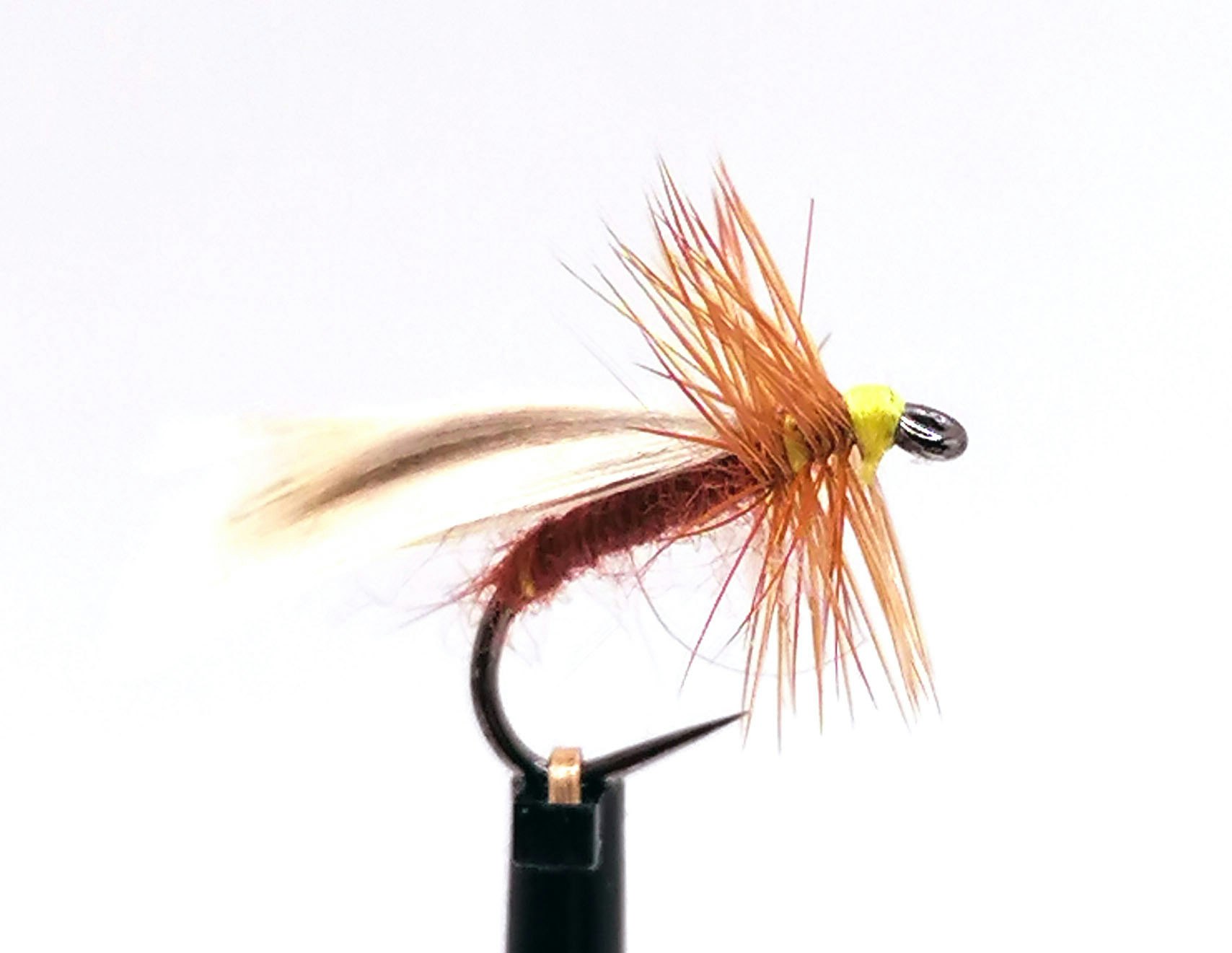 Europa 12 Rusty Brown