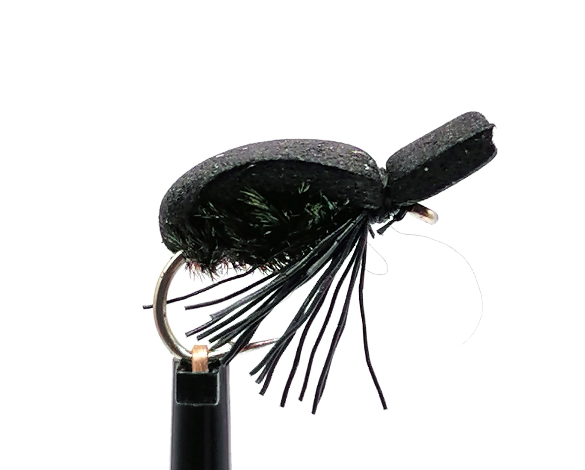 Black Beetle #12
