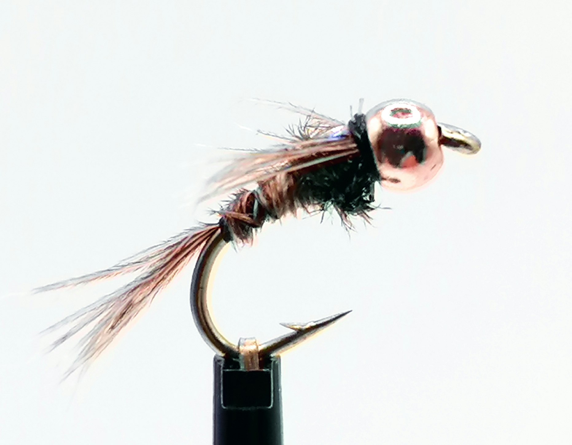 Lightning-Bug-FB-BH #14
