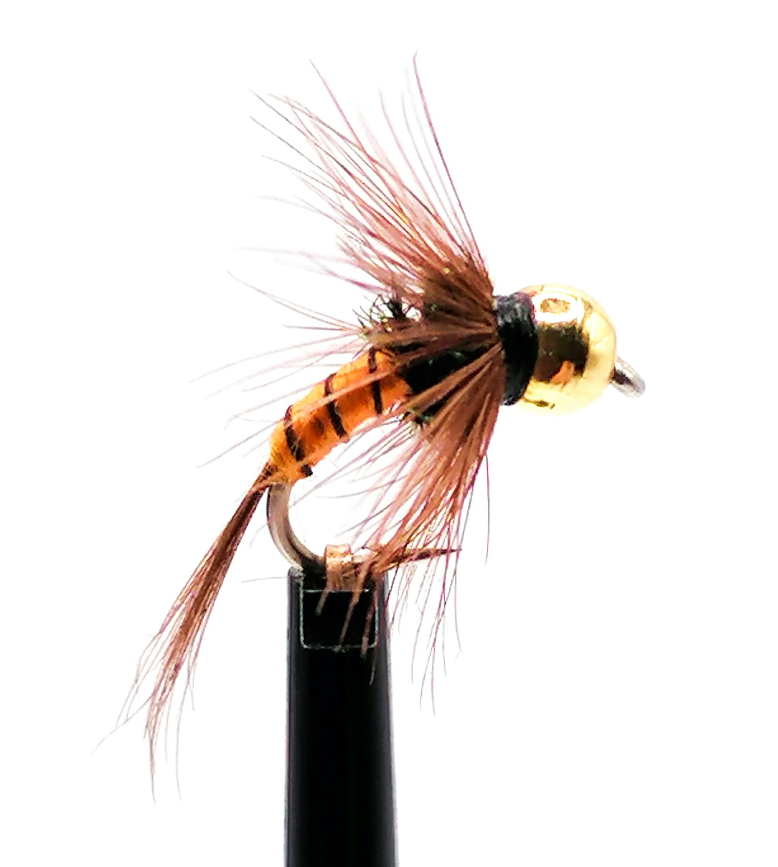 BH-Rinned-Orange-Nymph #14