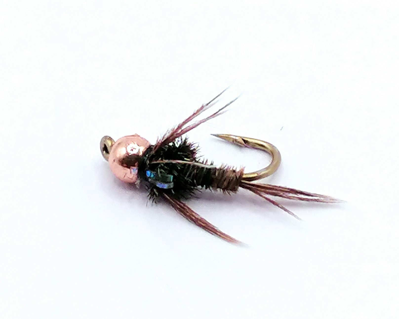 Lightning-Bug-FB-BH #14
