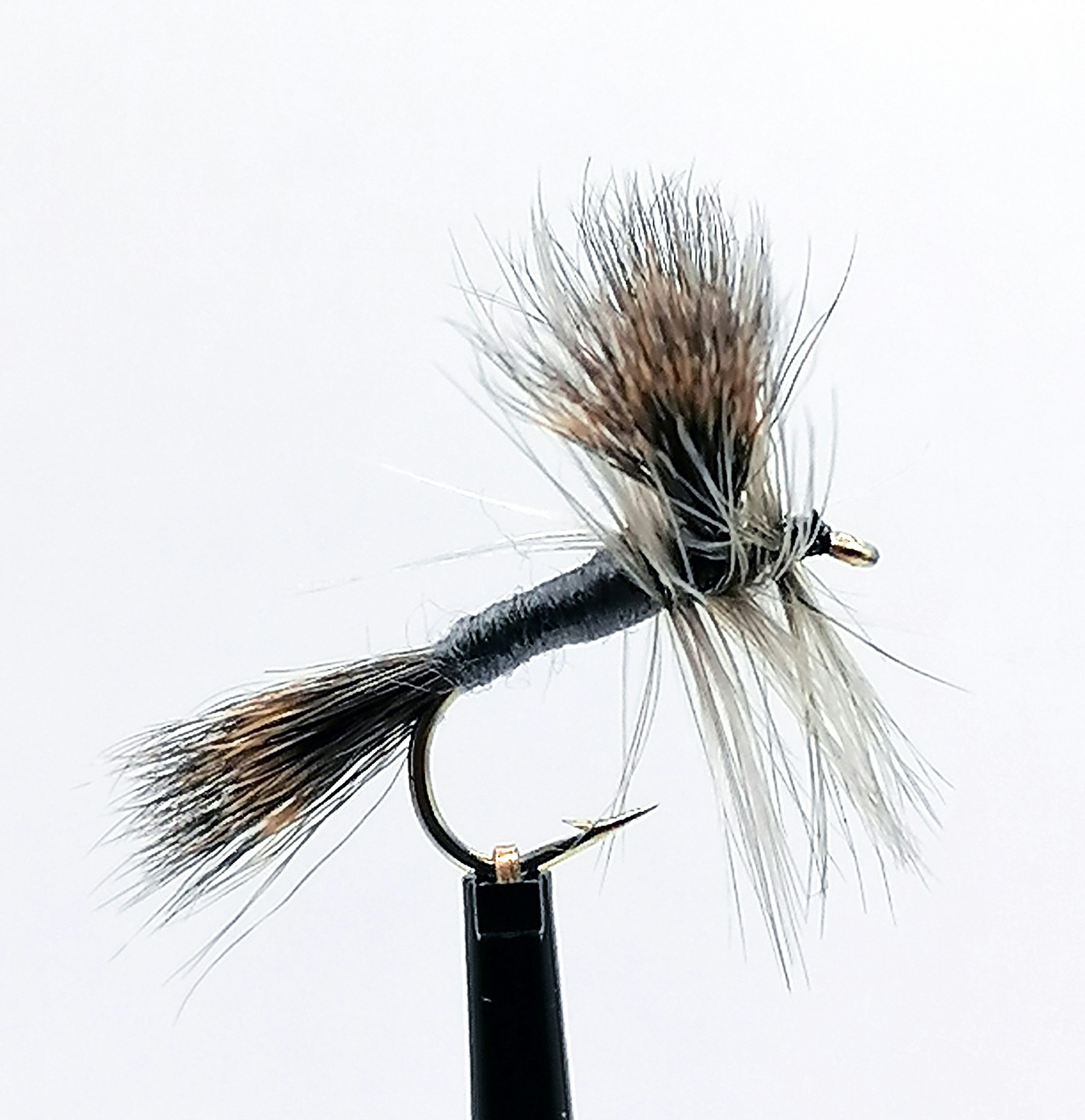 Gray Wulff #12