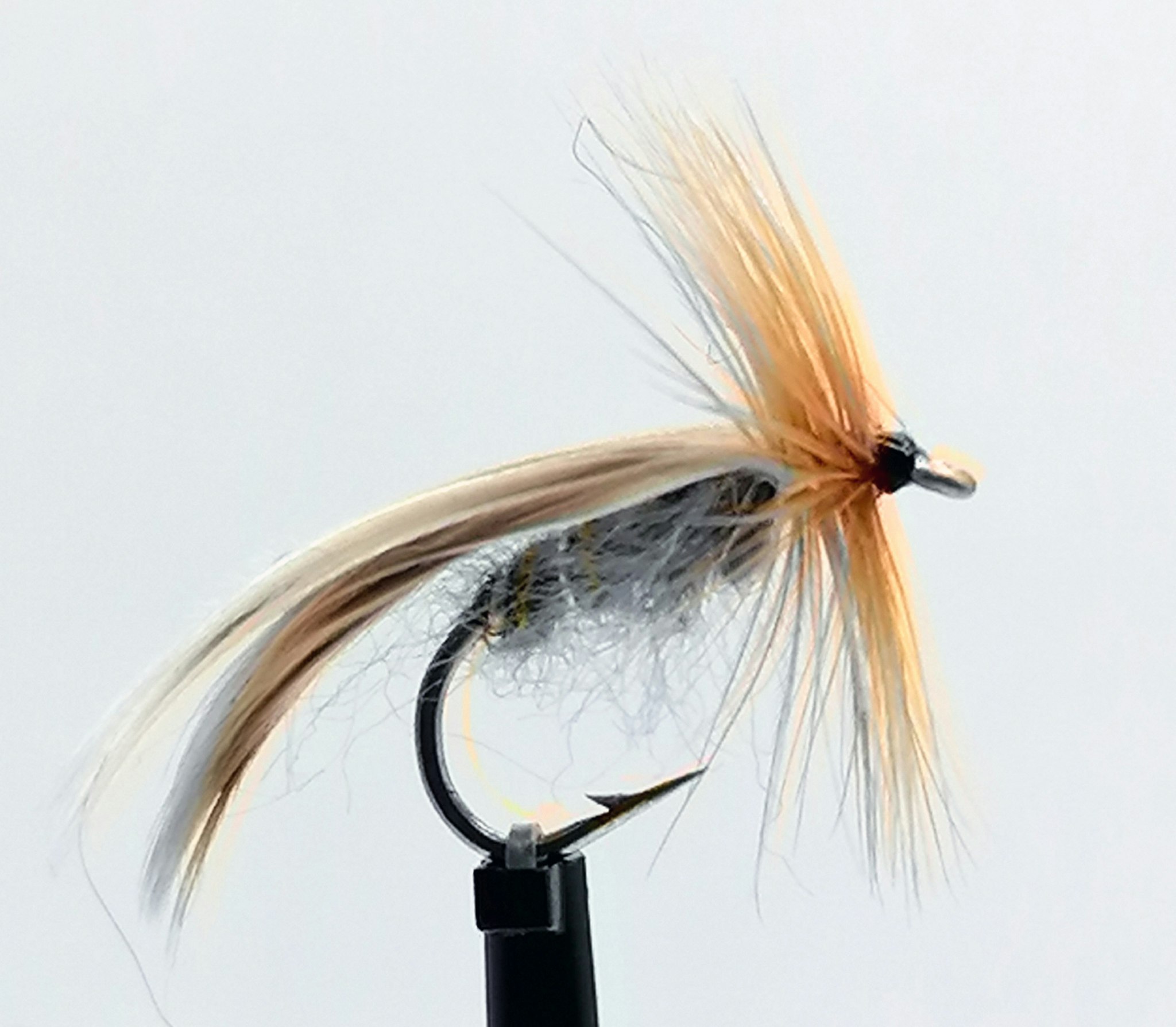 Europa 12 Gray  #12