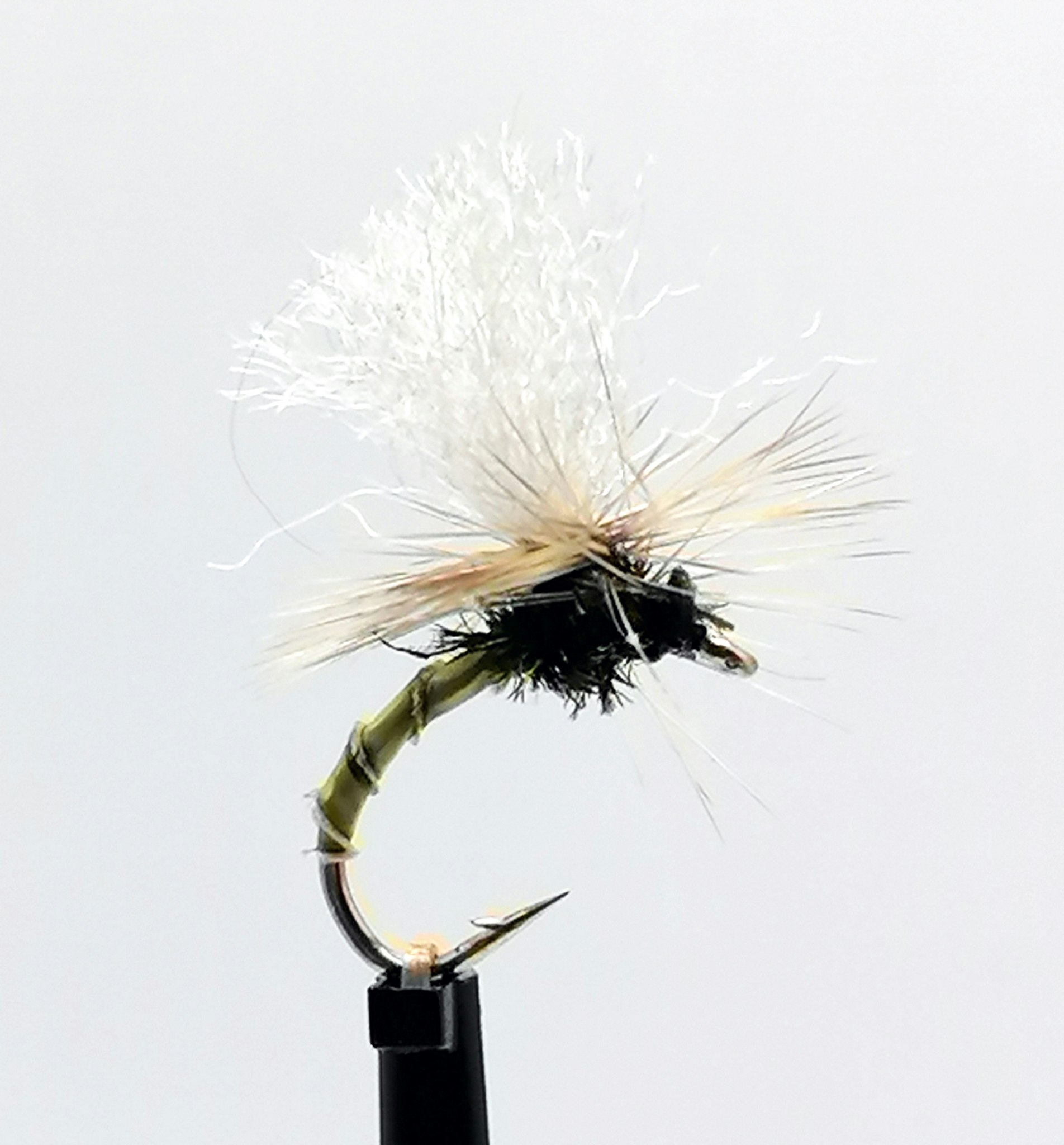 Klinkhammer Olive Biot  #14