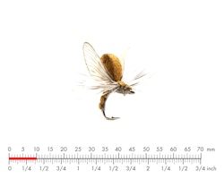 Caddis Realistic Wing Material