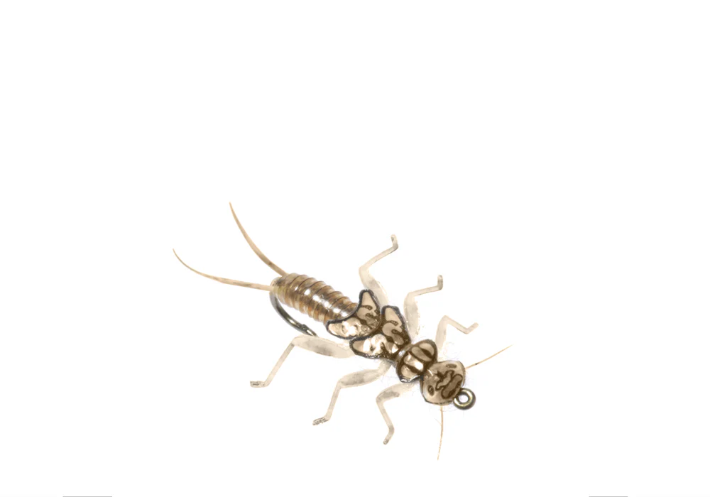 Stonefly Realistic Wing Material J:son
