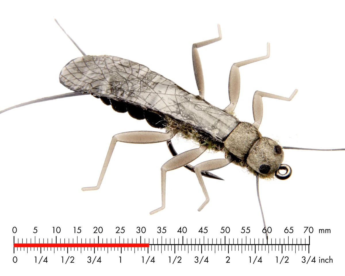 Stonefly Realistic Wing Material J:son