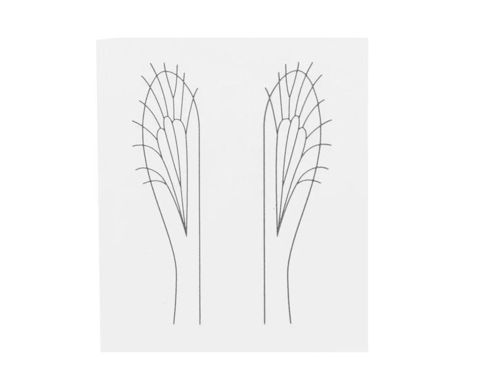Generic Realistic Wing Material J:son