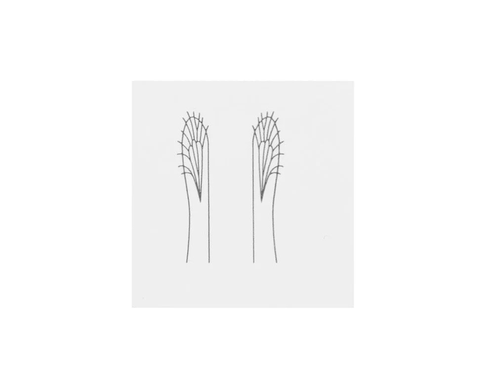 Generic Realistic Wing Material J:son