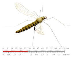 Generic Realistic Wing Material J:son