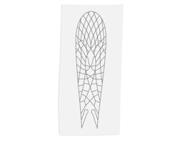 Adult Stone Realistic Wing Material J:son
