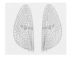 Mayfly Realistic Wing Material J:son