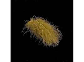 CDC DK.Olive 1 gram Hends