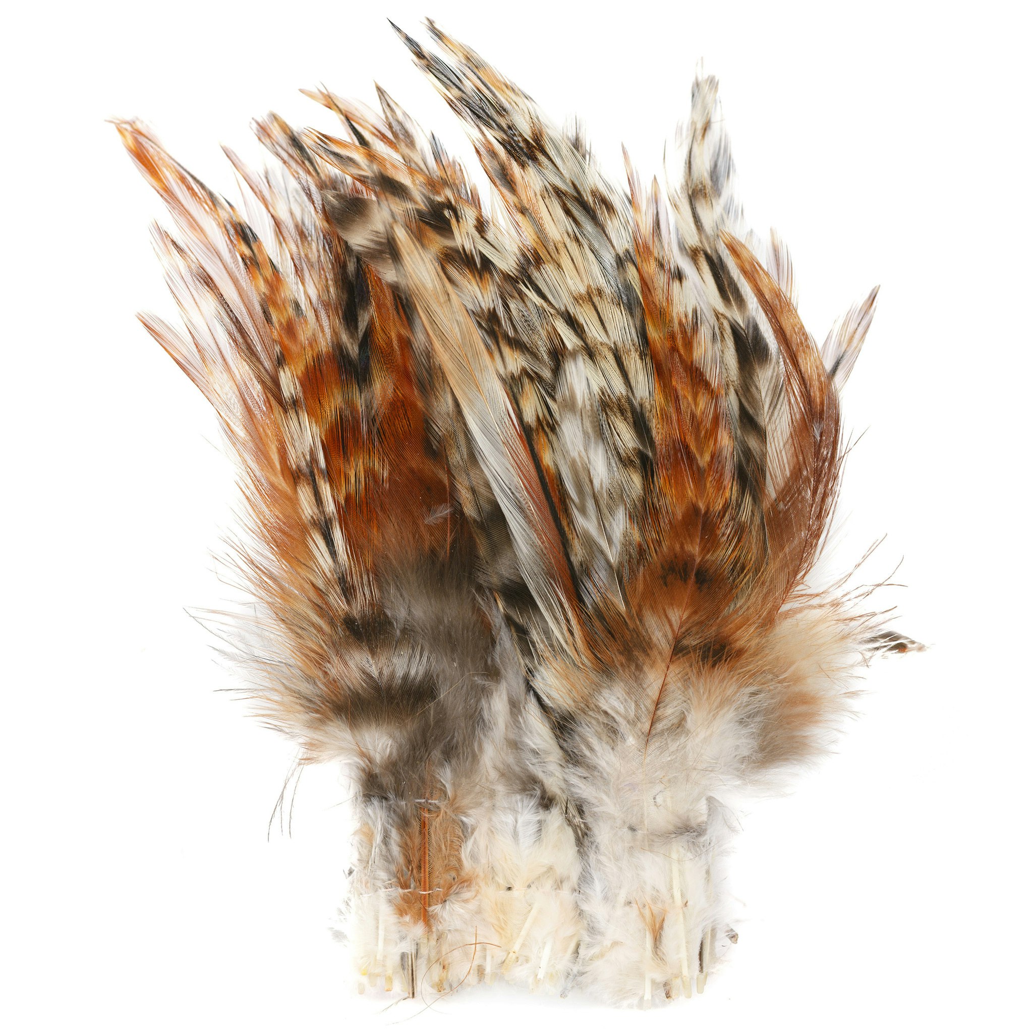 Strung Neck Hackle Fly Dressing
