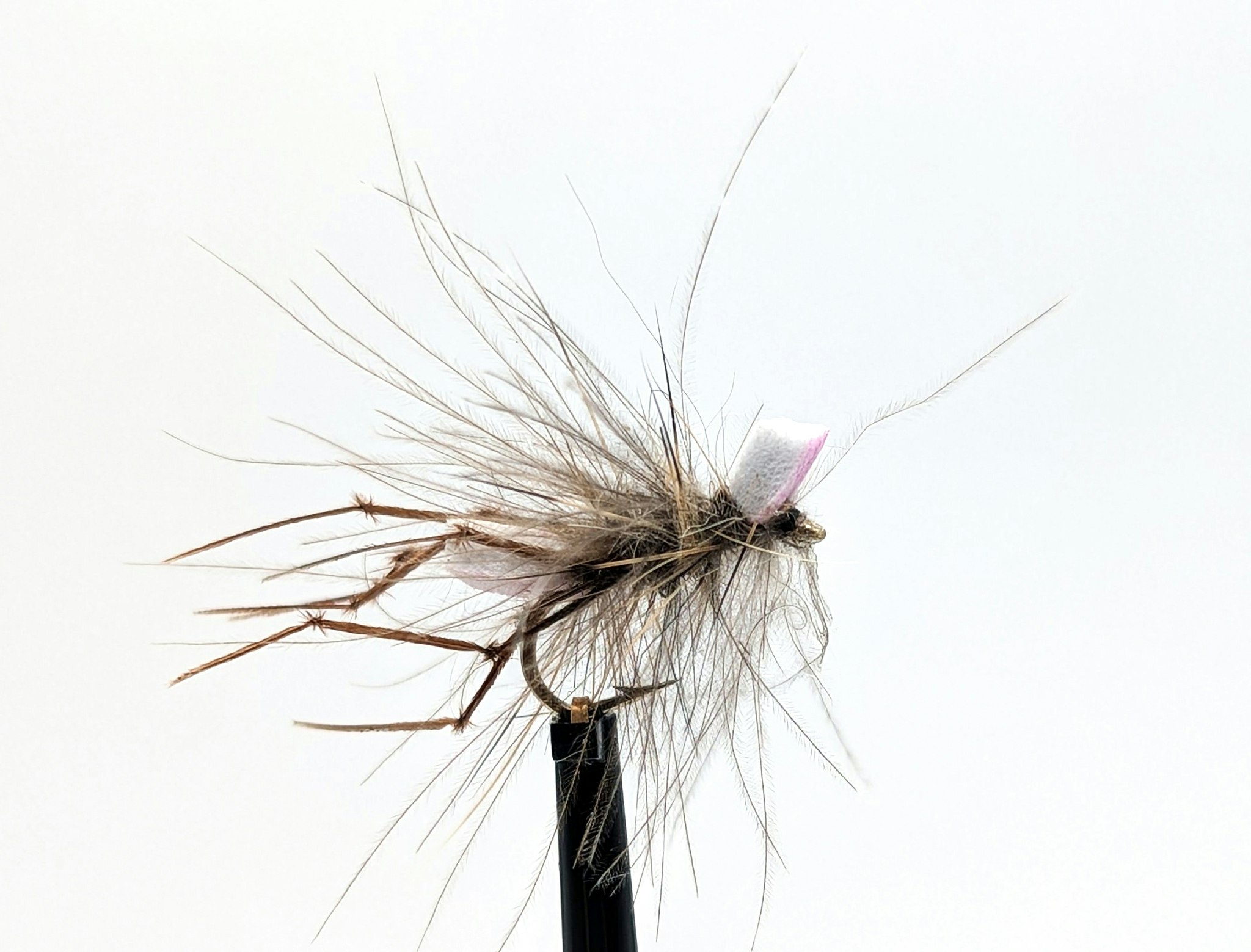 Harkrank CDC Daddy Long Leg #12