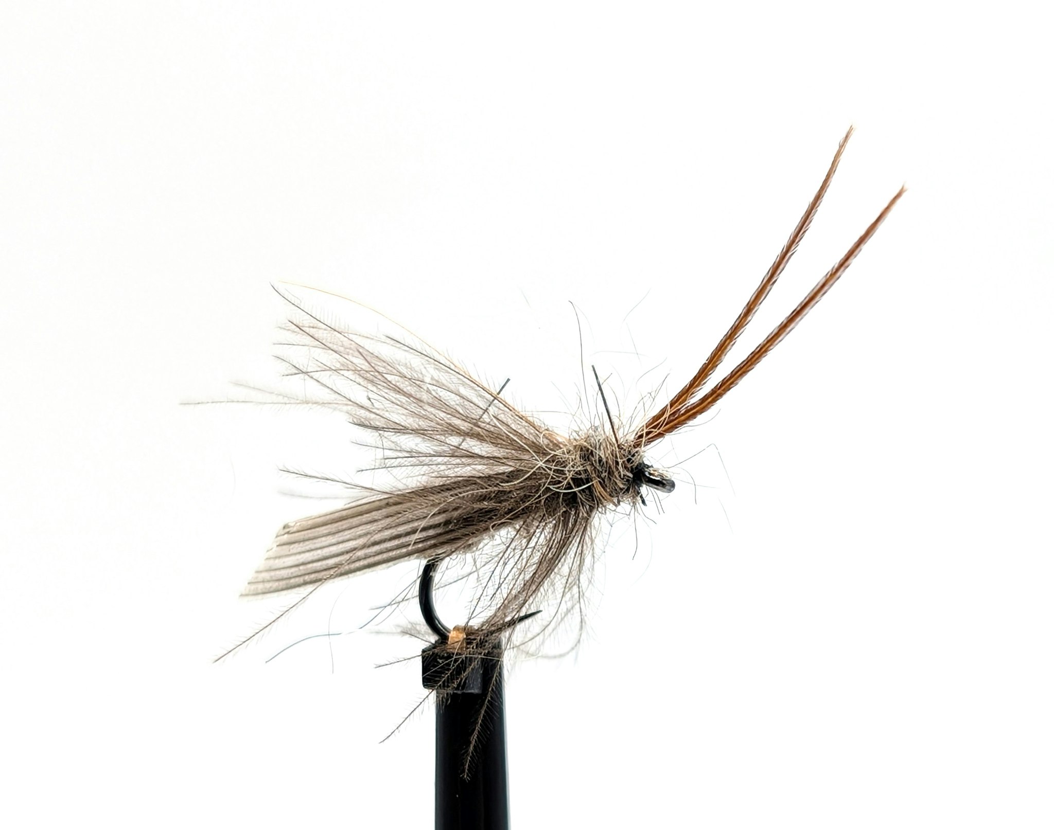 Adult Caddis #16
