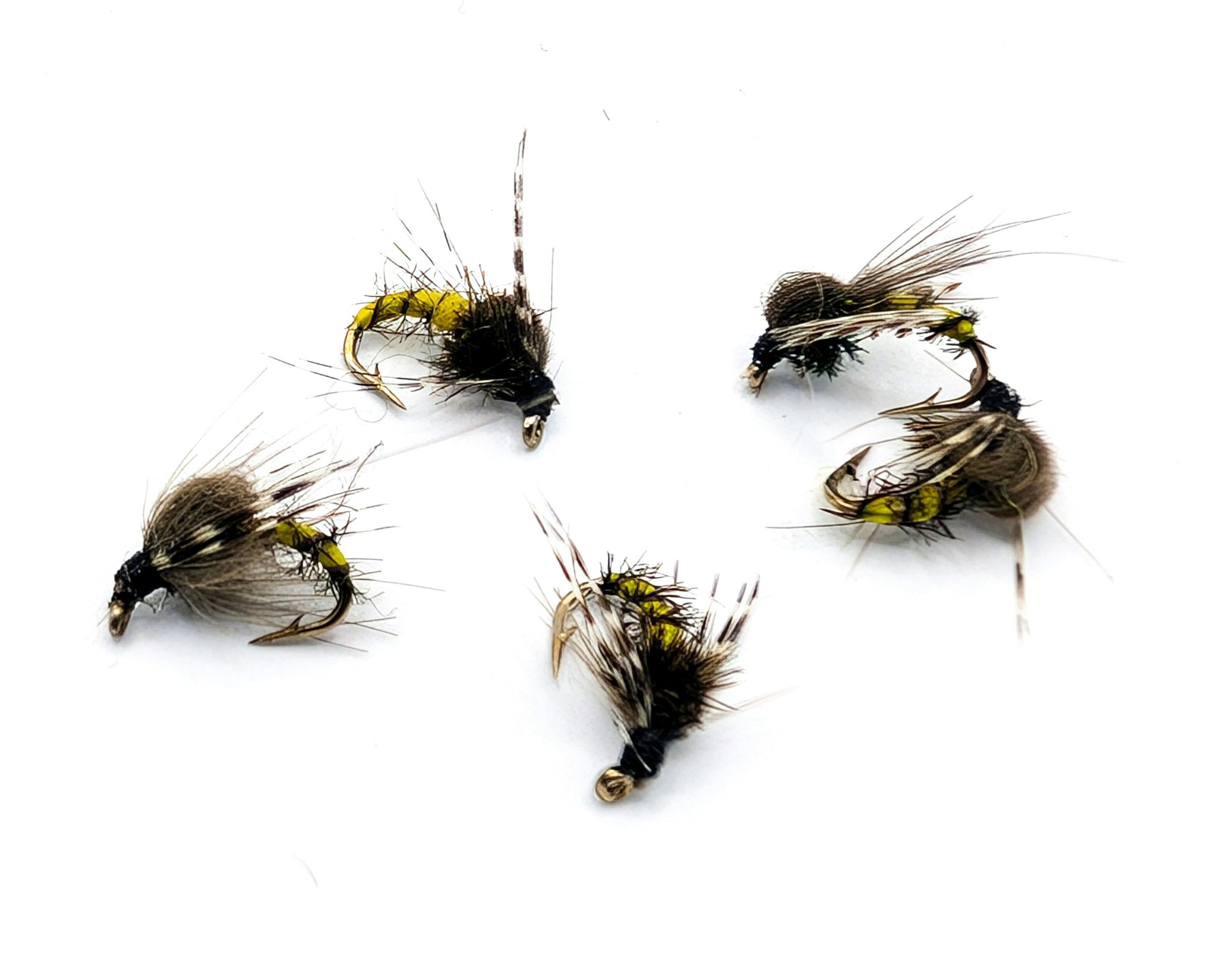 Kläckare Brown/Yellow #16