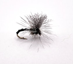 Klinkhammer Black Biot  #14