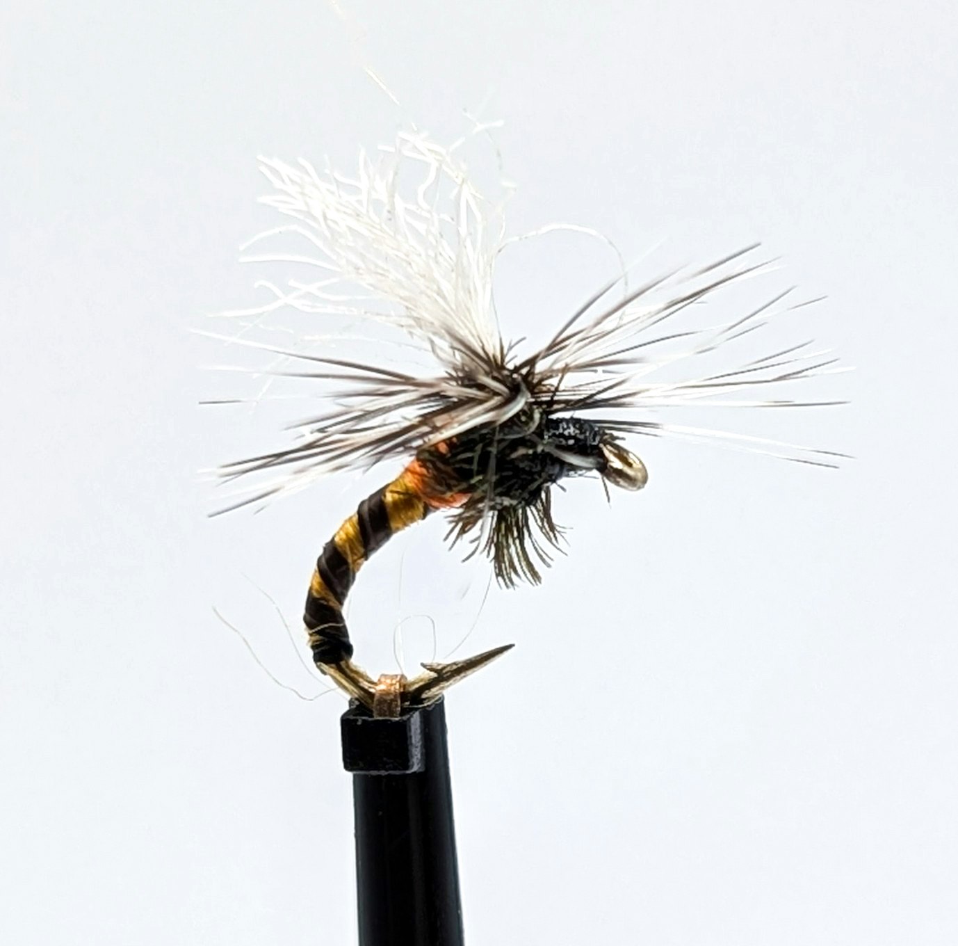 Kläckare Black Orange #16
