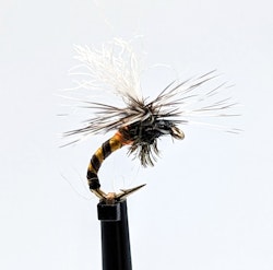 Kläckare Black Orange #16
