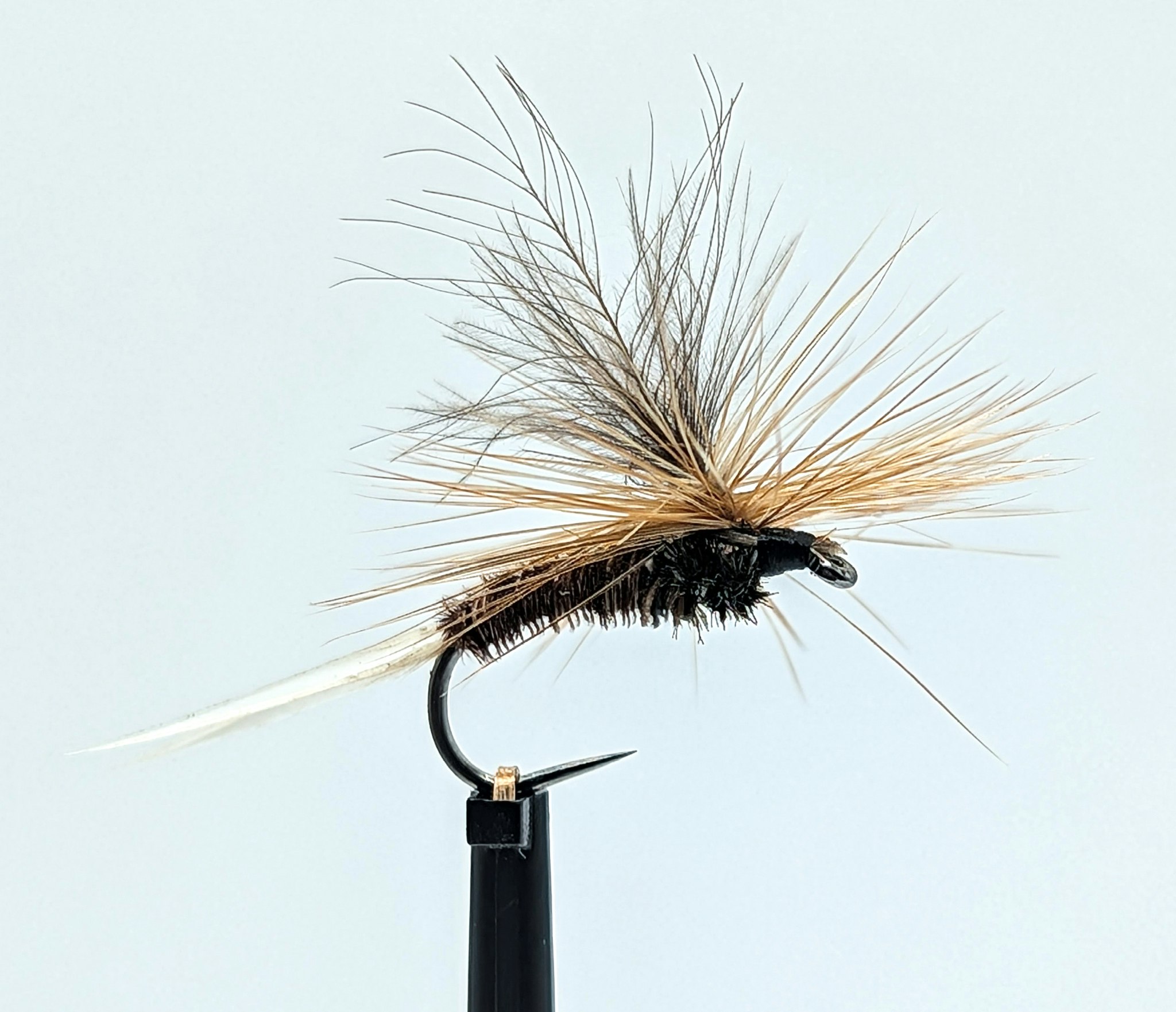 Mayfly Brown #12