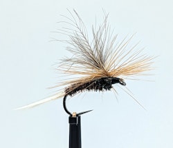 Mayfly Brown #12