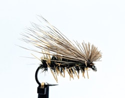 Elk Hair Caddis Dark Peacock #14