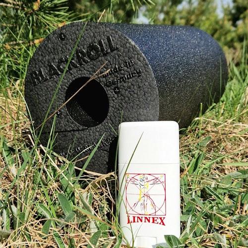 Linnex Stick