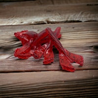Rocket Bug  Bloodworm (6pack)
