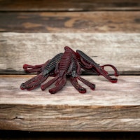 Knuckle Dragger  Sangria (6Pack)
