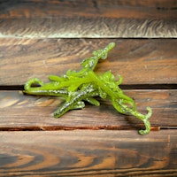 Crazy Hog  Lime tonic (6Pack)