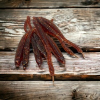 Rib Leech  Midnight oil (8pack)