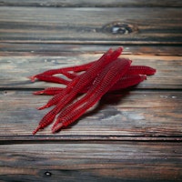 Rib Leech  BloodWorm (8pack)