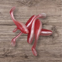 Bleaky Slim - Polka (5pack)